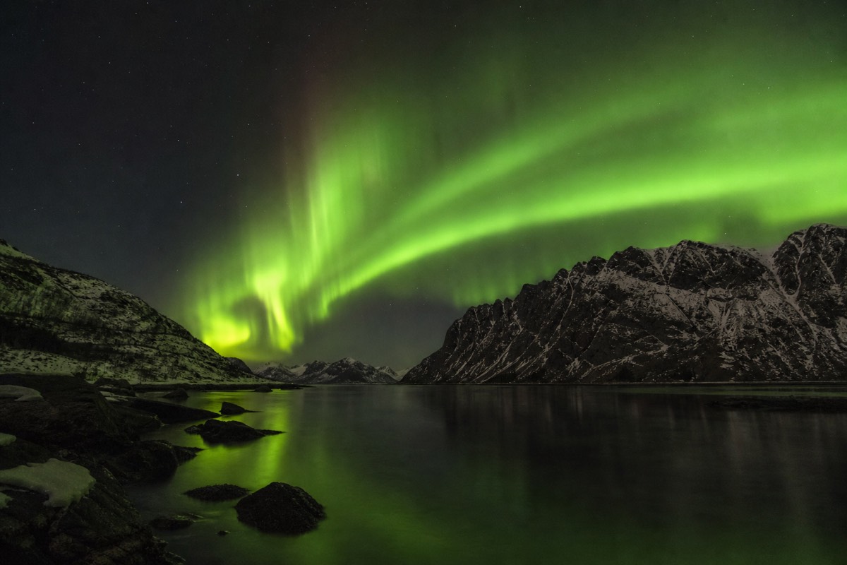 Northern Lights Tours in Tromsø: Which One to Book