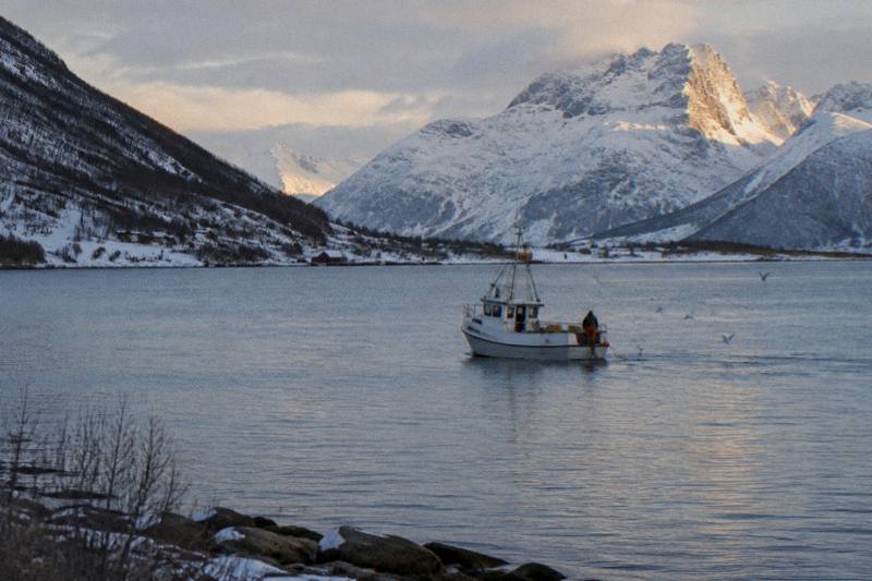 Tromsø: Arctic Fjord Cruise & Fishing Experience