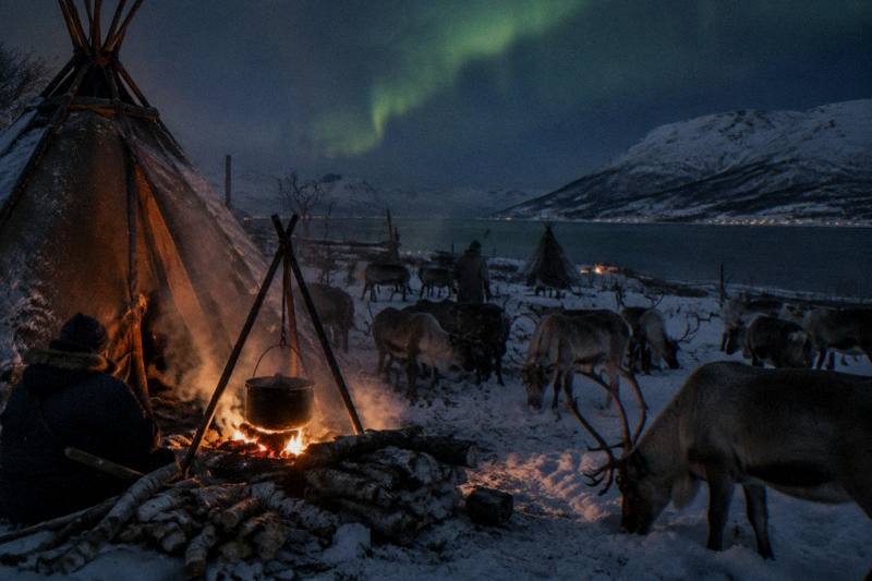 Tromsø: Reindeer Sled, Dinner, and Chance of Northern Lights