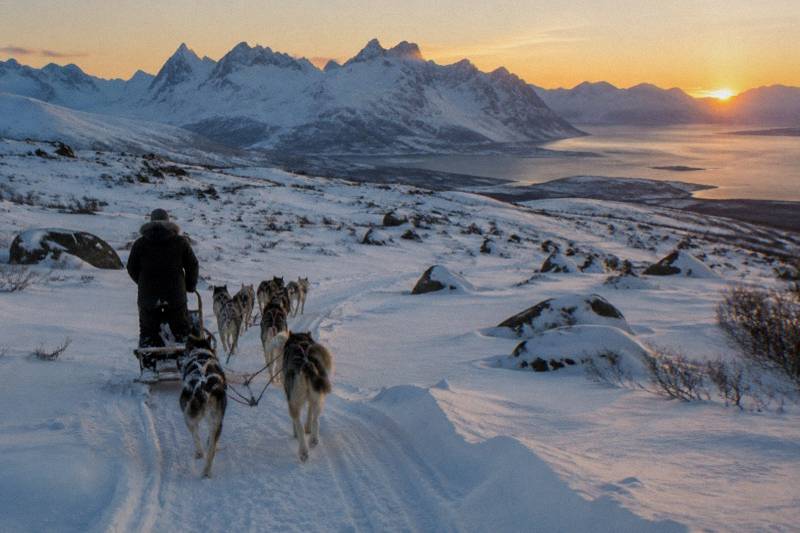 Tromsø: Husky Sled Self-Drive with Traditional Lunch