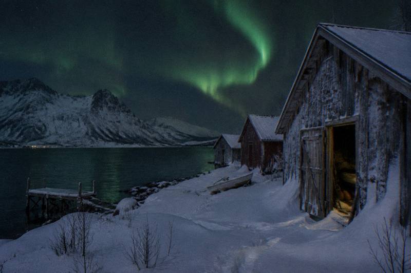 Tromsø: Northern Lights Safari with Expert Guides and Photos