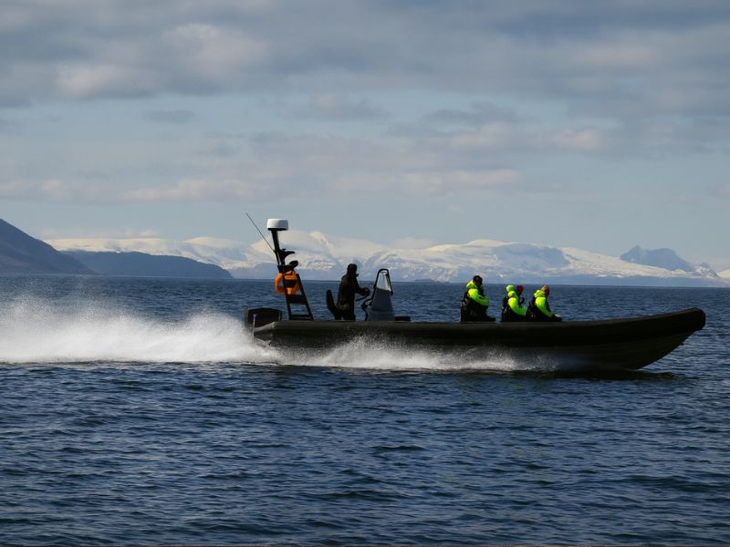 Photo takes during RIB boat whale tour in Tromso