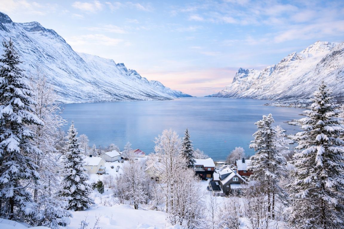 Winter view of Ersfjorden in Tromsø captured on a Tromso Norway Tours guided fjord excursion, featuring snowy village rooftops, trees, and dramatic Arctic mountains